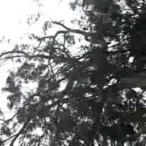 Meet your Posher, Vannessa